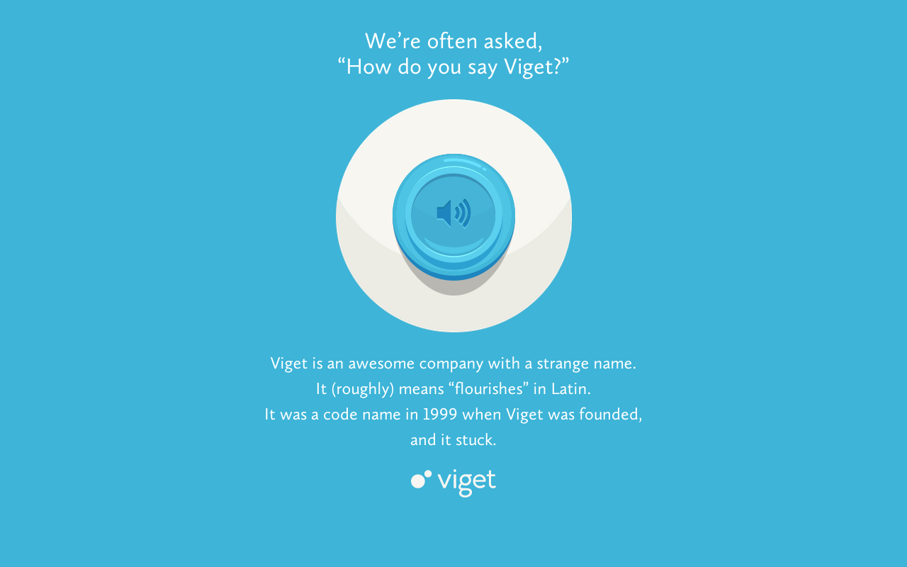 Say Viget